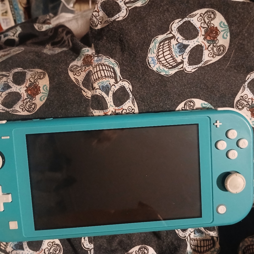 Nintendo Handheld Console - Turquoise - Picture 6 of 10